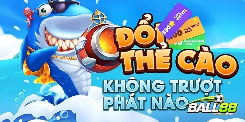 Chiến thuật săn cá hiệu quả giúp tối ưu điểm thưởng 